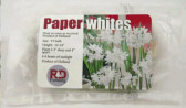 bag paperwhites